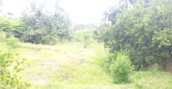 Chácara com Sobrado Em Paraúna – GO