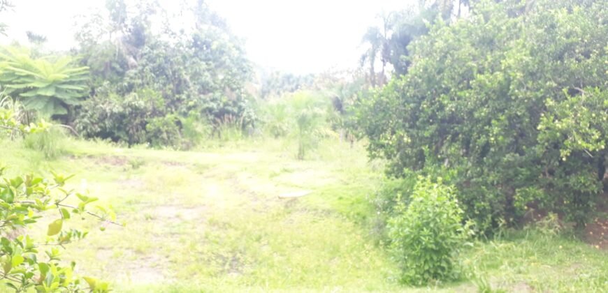 Chácara com Sobrado Em Paraúna – GO