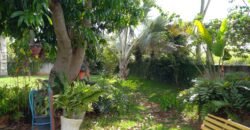 Chácara com 2000m² em Indiara GO