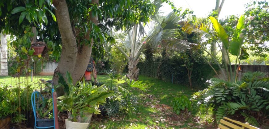 Chácara com 2000m² em Indiara GO