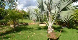 Chácara com 2000m² em Indiara GO