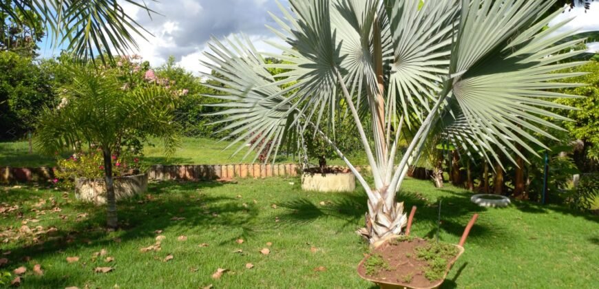 Chácara com 2000m² em Indiara GO