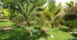 Chácara com 2000m² em Indiara GO