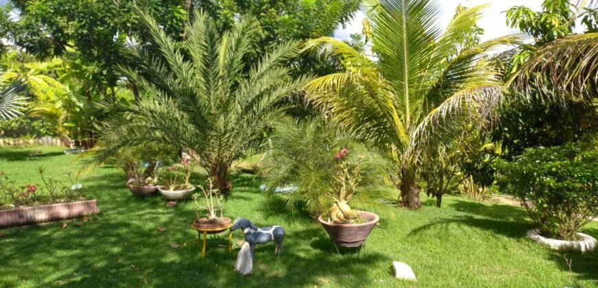 Chácara com 2000m² em Indiara GO