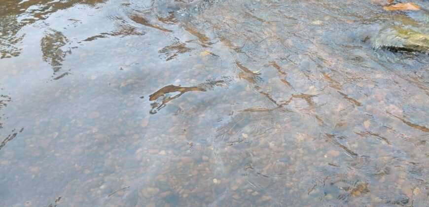 Chácara Rio Capivari 10.000 m²