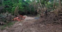 Chácara Rio Capivari 10.000 m²